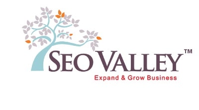SEOValley Solutions Private Limited-min SEO companies